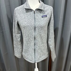 Patagonia Heather Gray Full-Zip Fleece Jacket